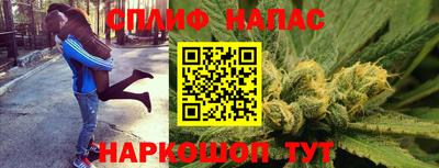 стаф Кинель