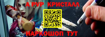 круглые Кингисепп