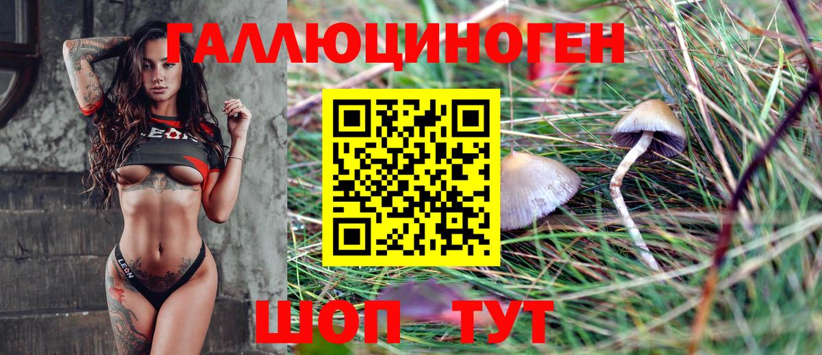 Псилоцибиновые грибы ЛСД Кузнецк