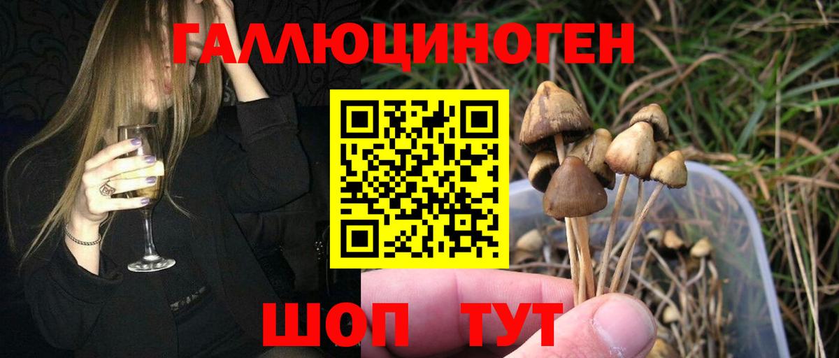 Псилоцибиновые грибы мицелий  купить закладку  Кузнецк  Вход с VPN 